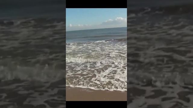 Звук природы. Шум моря и крики чаек для здоровья