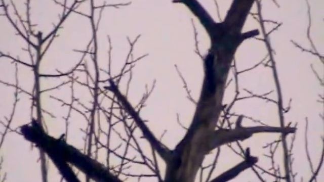 ДО "Можайский "Прогулка Часть 3 смотреть онлайн