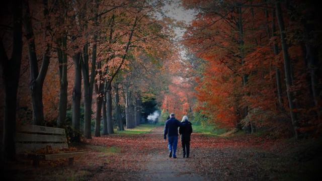 Осенняя роса смотреть онлайн