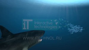 Кронозавр охотится на акул  (Гигантские морские рептилии 4)