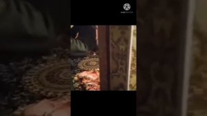 шармандаги келини хонара капида да болои зино ??