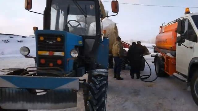 Работаю на ферме завозим солому   Телята бычки коровы  Кормораздатчик Хозяин