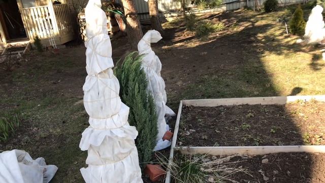 Моя любимая дача 26 марта 2020 г.❤️Обработка сада профилактином. Новый опрыскиватель.Моя бытовка.❤️ смотреть онлайн