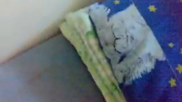 УЖАС Николаевская обл. Вознесенское инфекционное отделение смотреть онлайн