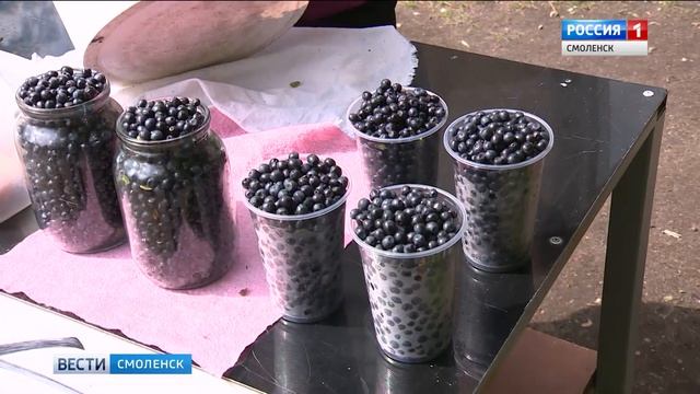 На смоленских рынках появилась черника. Полезная и вкусная смотреть онлайн