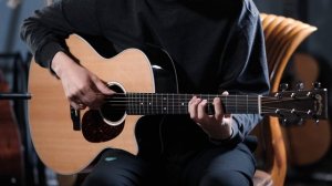 2021 Martin GPC-13e Ziricote