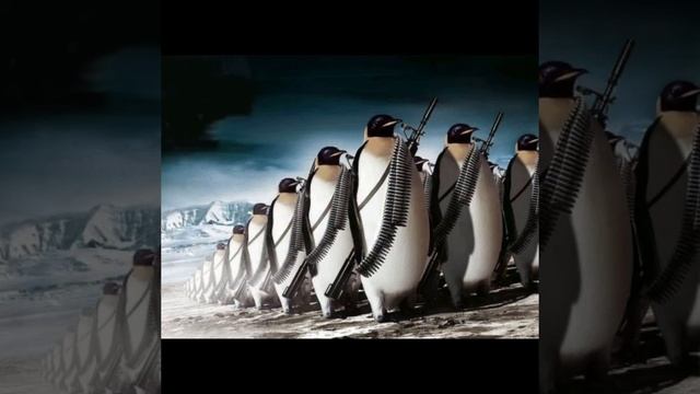 Battlefield 2042 leaked penguin ?