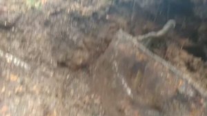 КОП МЕТАЛЛОЛОМА, ТЯЖЕЛЫЕ НАХОДКИ ИЗ ЛЕСА. 500 000 ЗА СЕЗОН. ЖЕЛЕЗНЫЕ ГОРЫ. КАРЕЛЬСКИЙ КОПАРЬ.