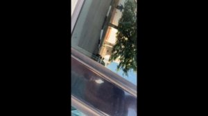 ТАЧКА в РАСКАТ/Выкуп#1 Бизнес/Инвестиция