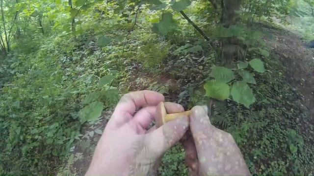 Тихая охота. За грибами рядом с домом. Середина июля. смотреть онлайн