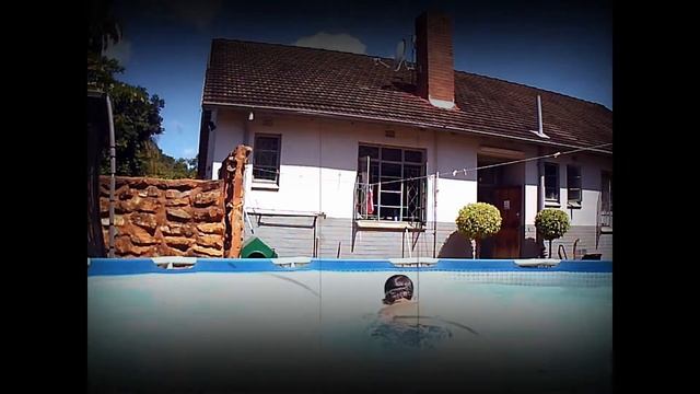 The adventures of frog man смотреть онлайн