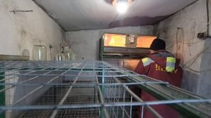? Бройлеры / уборка помета в брудере / мои советы