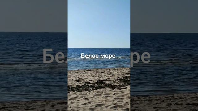 Лето на Белом море