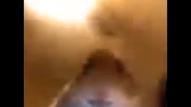 Amazon.com: Kia Soul Hamster Decals