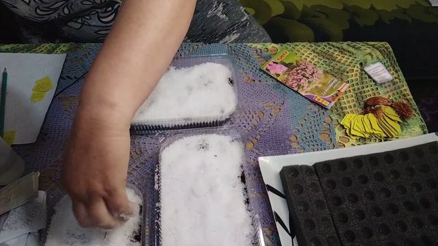 Как я сею петунию на снег. смотреть онлайн