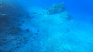 Как gopro 8black снимает под водой. Красное море.