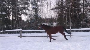 Начало каникул