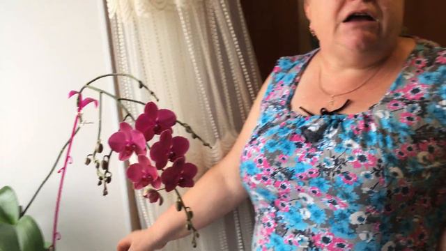 Как мама ухаживает за Орхидеей?