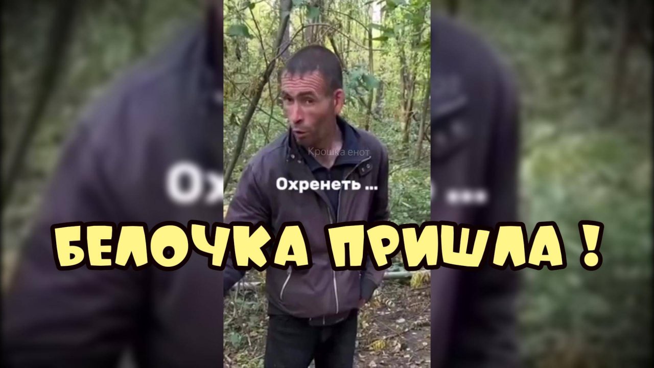 Белочка пришла-Подборка приколов #поржать