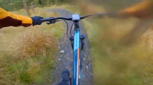 GT Aggressor Expert 29 Hardtail 2021 | GoPro Run | CRC |