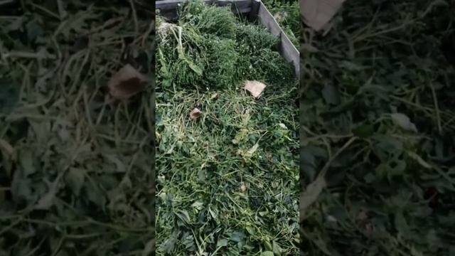закрытие сезона, осталось чуть чуть.