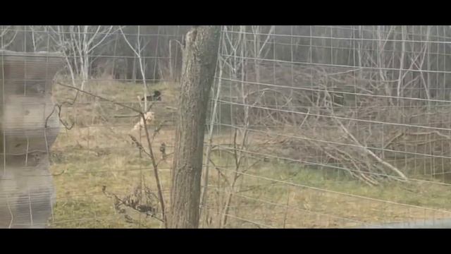 Любовь и забота смотреть онлайн