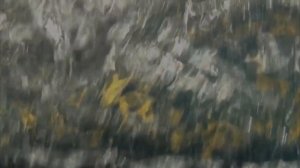 Топ 5 фильмов про акул