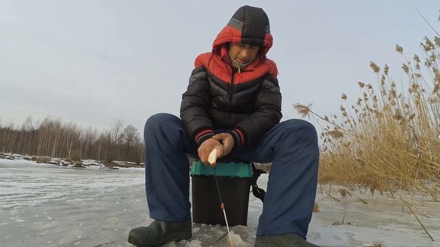 Окунь на безмотылку.  В ГЛУХОЗИМИЕ Эти безмотылки сделали рыбалку. Клёв окуня.