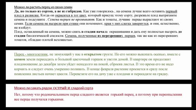 Перец из своих семян Перец многолетник Перец не сажают рядом острый и сладкий почему смотреть онлайн