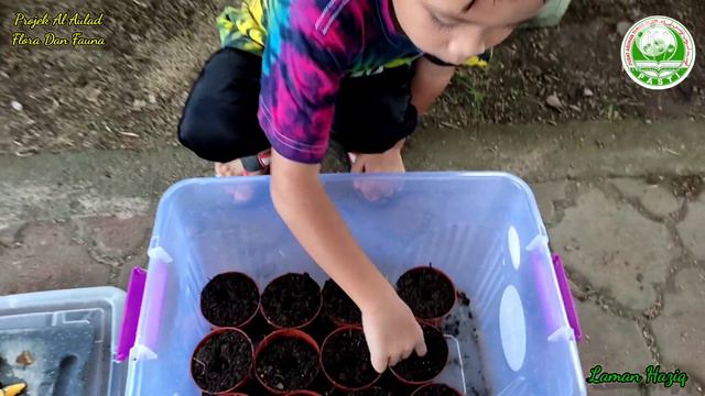 Cara Memperbanyakkan Anak Pokok Keladi | Projek AL Aulad Pasti Desa AR Rahman Kuala Krai Kelantan смотреть онлайн