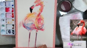 Loose Style Painting Flamingo in Watercolor