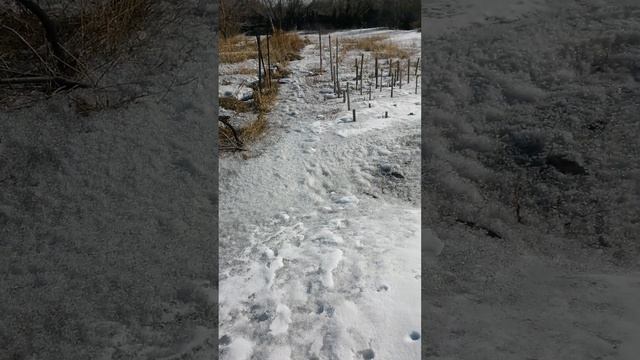 Дача выглядит так Двадцать Третьего Марта - проталины видны