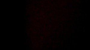 Электрический лифт V=1 м-с, грузоподъемность 320 кг (260)