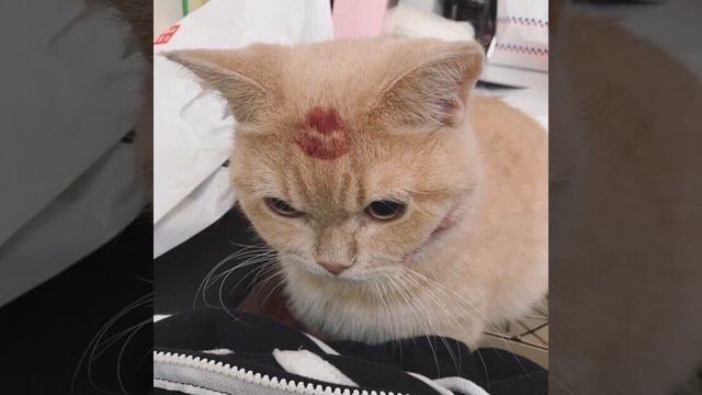 [FREE] MOON SKY (prod. EWAY) смотреть онлайн