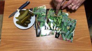 ??? СУПЕРПУЧКОВЫЕ ОГУРЦЫ от УРАЛЬСКОГО ДАЧНИКА.?Сажать или не сажать???
