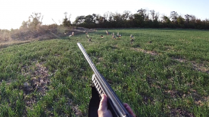 ОХОТА НА КУРОПАТКУ, НЕ БЕЗ ТРУДА - НО НОРМА