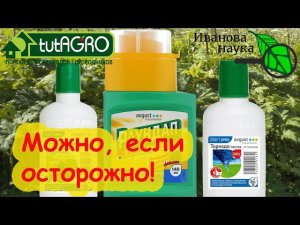 ПРАВИЛА ИСПОЛЬЗОВАНИЯ ГЕРБИЦИДОВ: как не навредить; что делать, если обожгли; гербицид против хвоща.