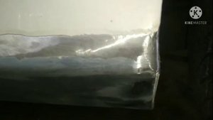 Замена порогов Peugeot 308