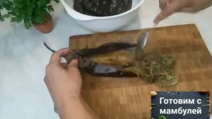 Икра из запеченных баклажанов.