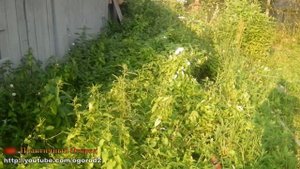 Природного земледелия не существует!