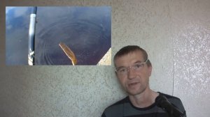 Какие размеры крючков я использую при ловле леща на удочку