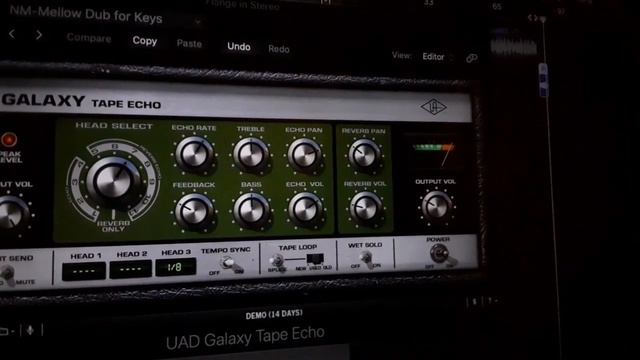 Pig hog instrument cable Bass guitar/ Guitar 1/4" angle connector 10ft cable смотреть онлайн