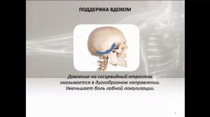 ДИСФУНКЦИИ ВИСОЧНОЙ КОСТИ. ФРАГМЕНТ ВЕБИНАРА. ПРИКЛАДНАЯ КИНЕЗИОЛОГИЯ. КИНЕЗИОЛОГИЯ.