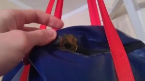 как заклеить боксерскую грушу чтобы не вылетали опилки и пыль(решено)