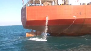 Подход судна Волго-Дон к накапителю Кавказ-1.Черное море.