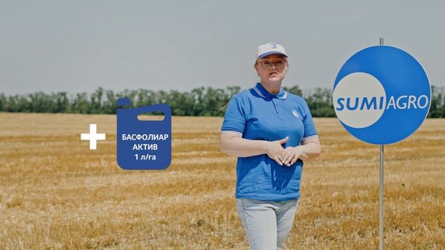 Как защитить озимую пшеницу от болезней и вредителей? Результат на опытном поле