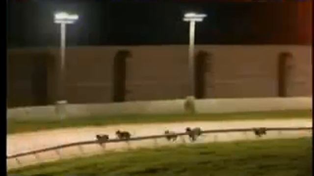 IGB - £15 Drumbo Deal 10/08/2019 Race 8 - Drumbo Park смотреть онлайн