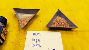 Определение влажности зерна