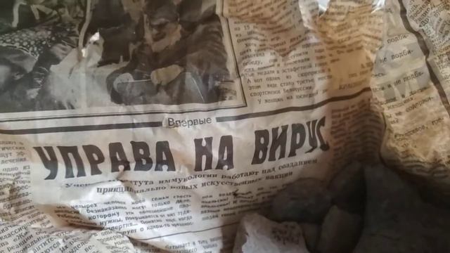 Вирусы - 40 лет спустя. Актуальный репортаж из прошлого. смотреть онлайн