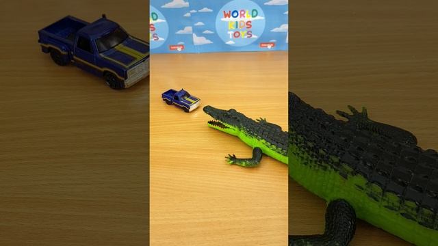 Крокодил охотится за машинкой